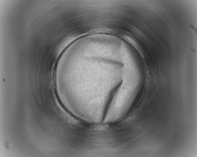 X0000102761055200809080937