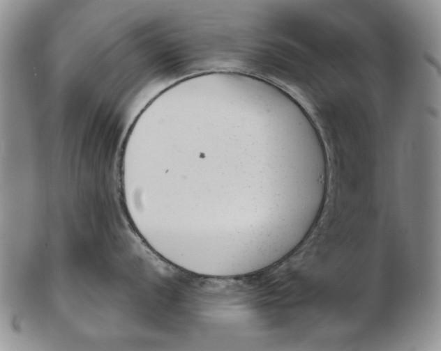 X0000102761056200809080937