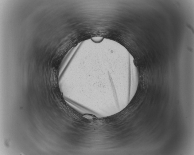 X0000102761058200809080936