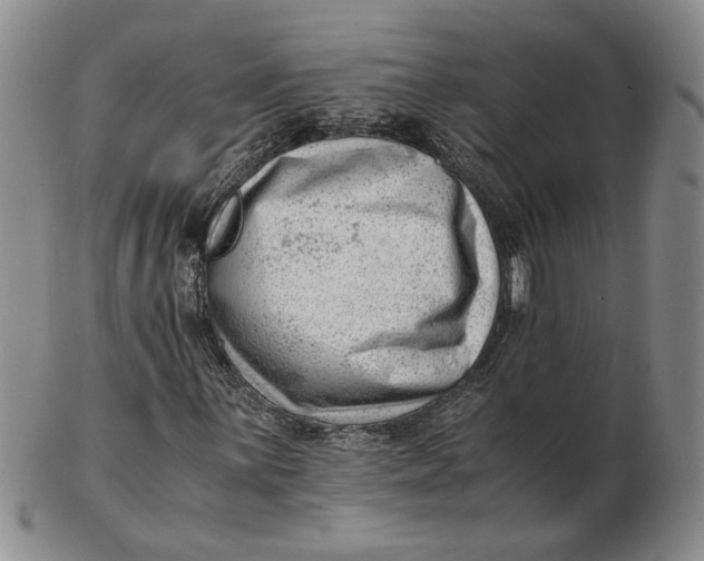 X0000102761059200809080936