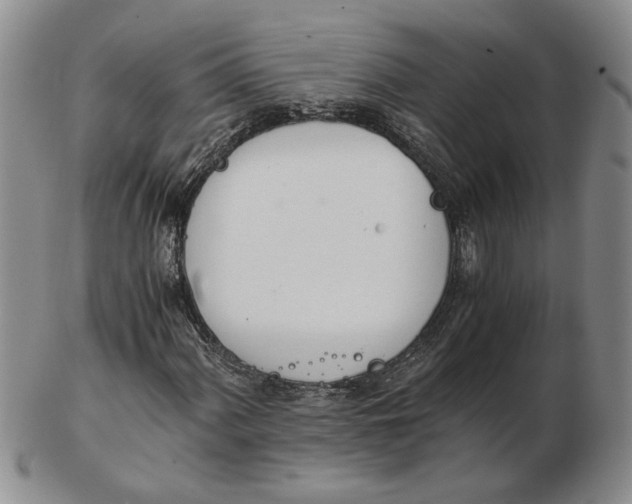 X0000102761060200809080936