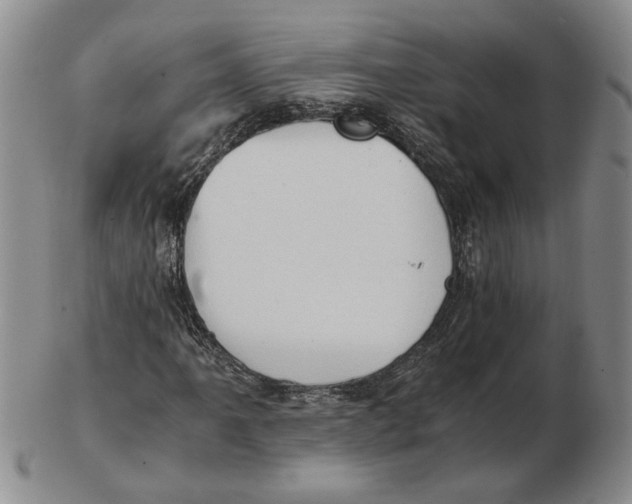 X0000102761061200809080936