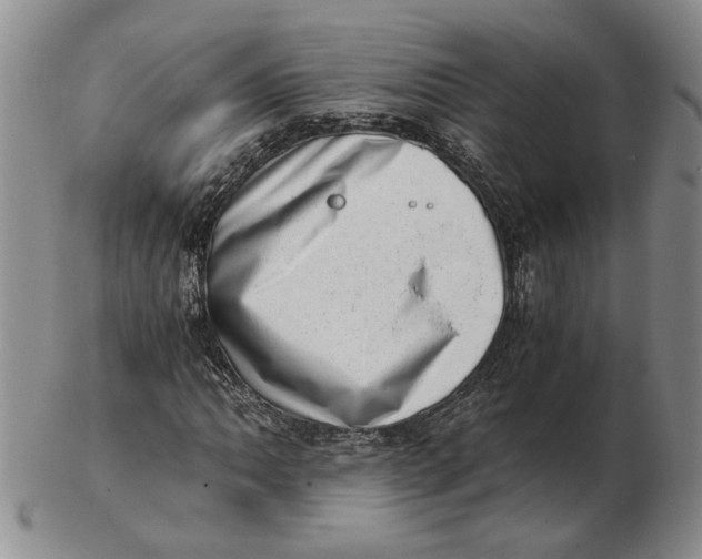 X0000102761062200809080936