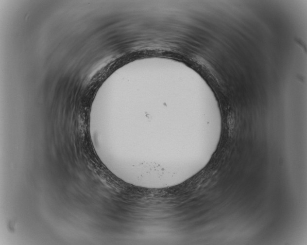 X0000102761064200809080936