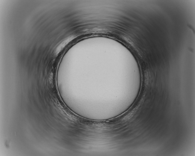 X0000102761066200809080936