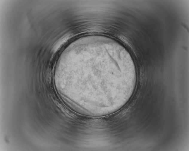 X0000102761067200809080936