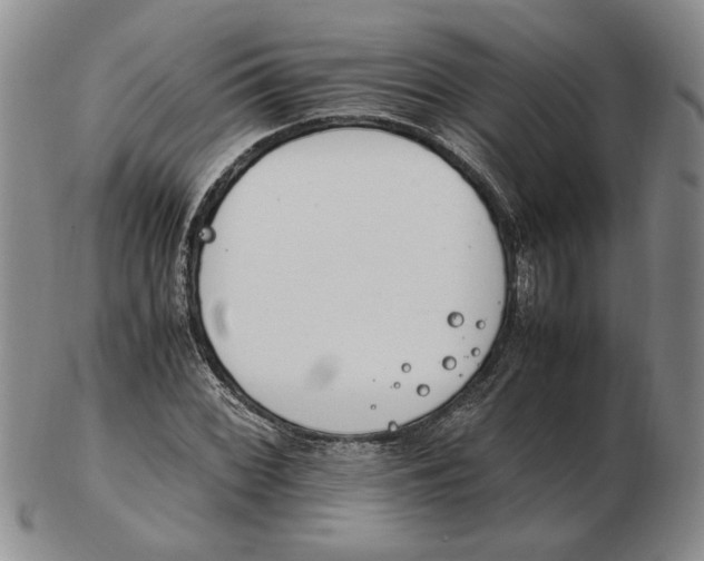 X0000102761068200809080936