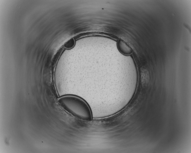 X0000102761069200809080936