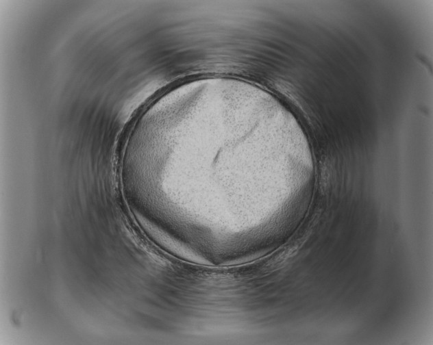 X0000102761071200809080936