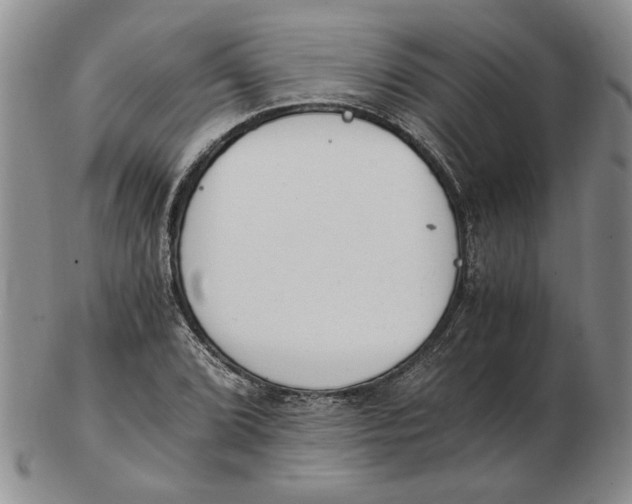 X0000102761072200809080936