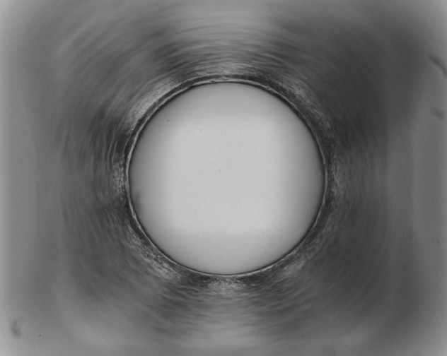 X0000102761073200809080936