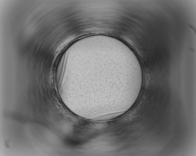 X0000102761074200809080936