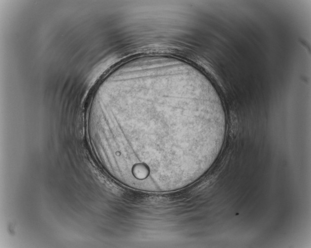 X0000102761075200809080936