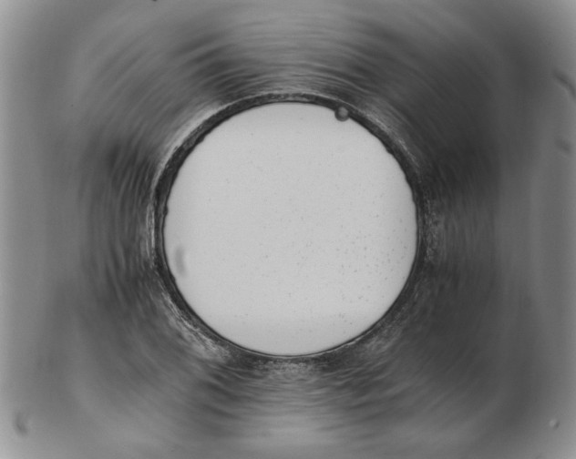 X0000102761076200809080936