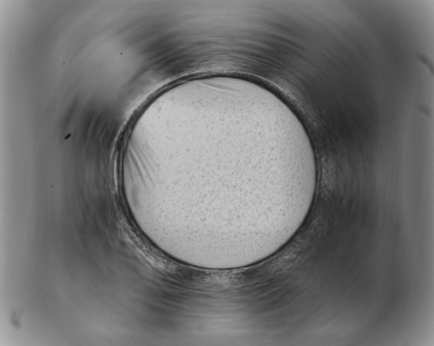 X0000102761078200809080936