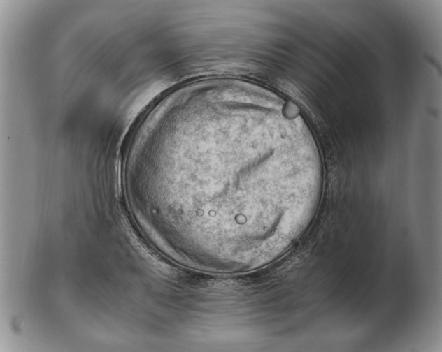 X0000102761079200809080936