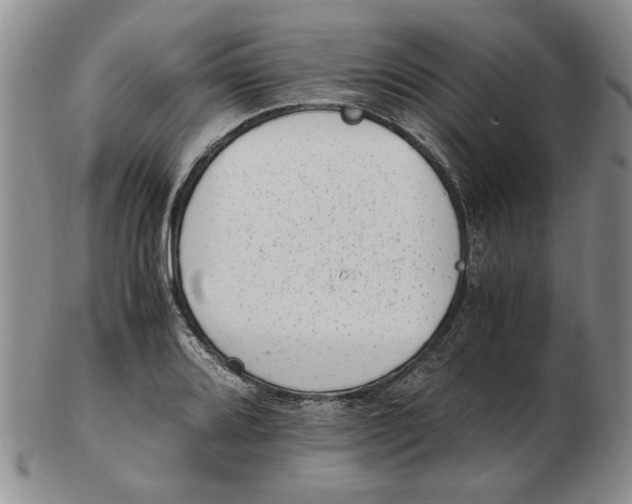 X0000102761080200809080936