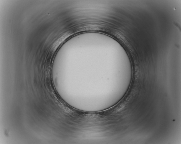 X0000102761081200809080936