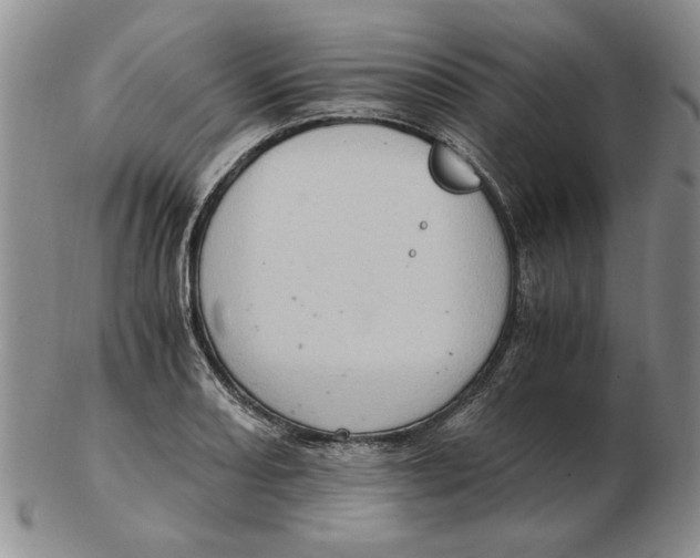 X0000102761082200809080936