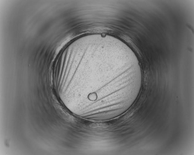 X0000102761083200809080936