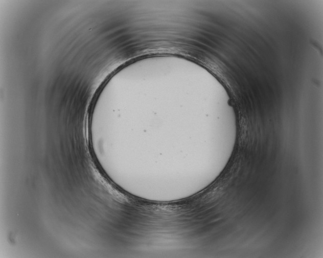 X0000102761084200809080935