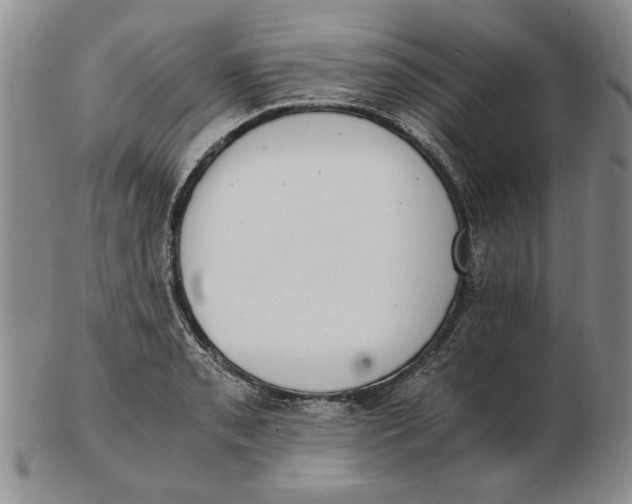 X0000102761085200809080935