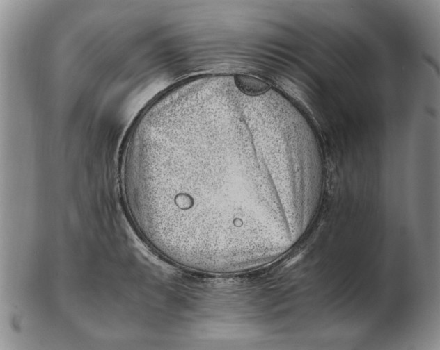 X0000102761087200809080935