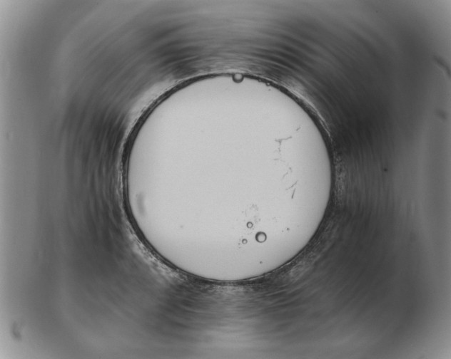 X0000102761088200809080935