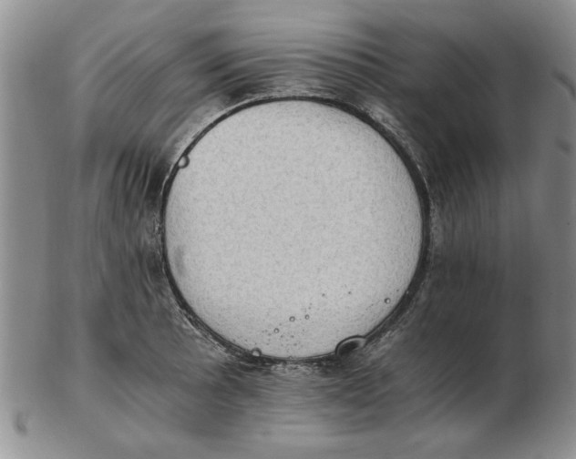 X0000102761089200809080935