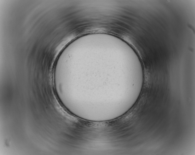 X0000102761090200809080935