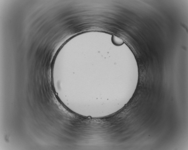 X0000102761092200809080935