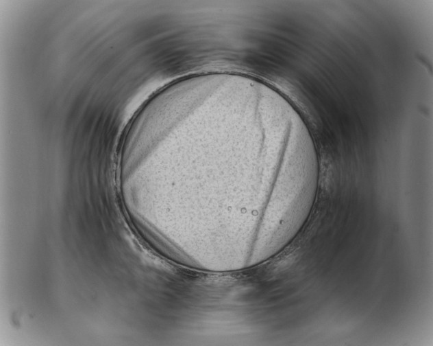 X0000102761094200809080935