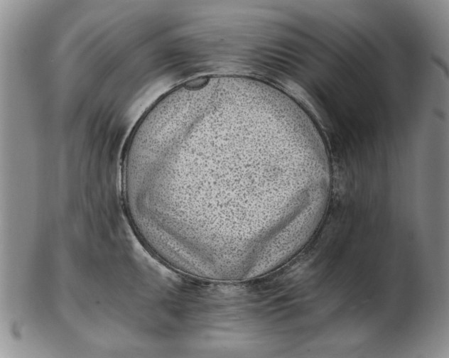 X0000102761095200809080935