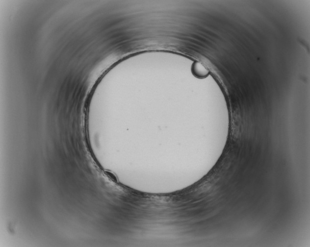 X0000102761096200809080935