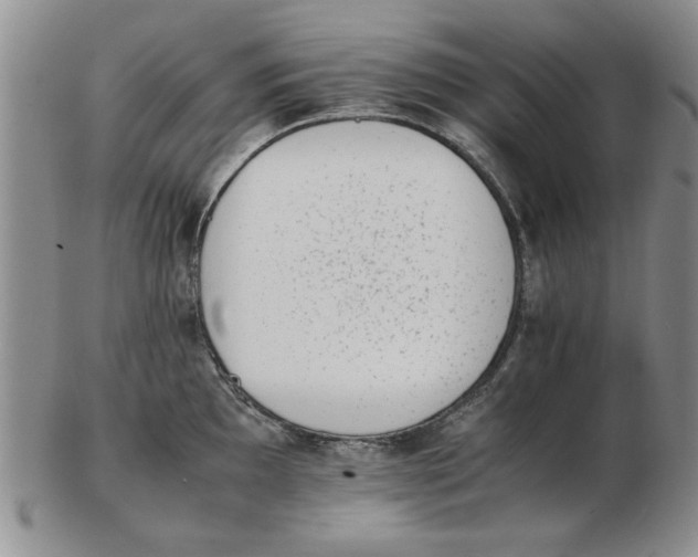 X0000102761097200809080935