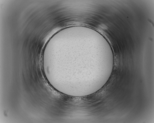 X0000102761098200809080935