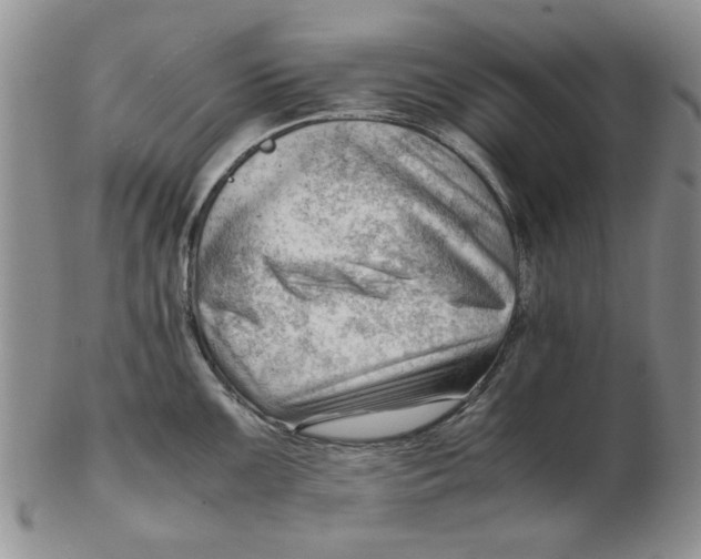 X0000102761099200809080935