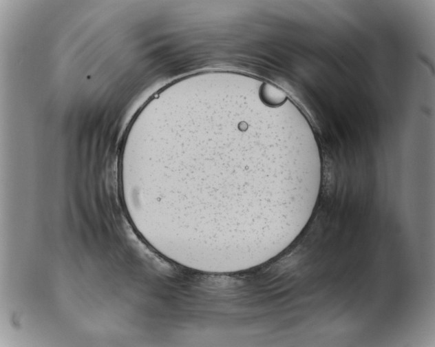 X0000102761100200809080935