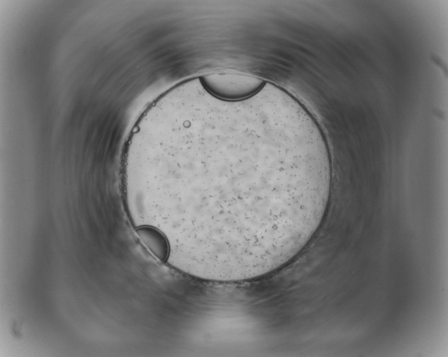 X0000102761104200809080935