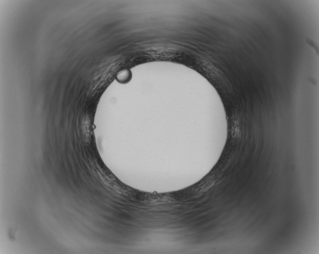 X0000102761108200809080935