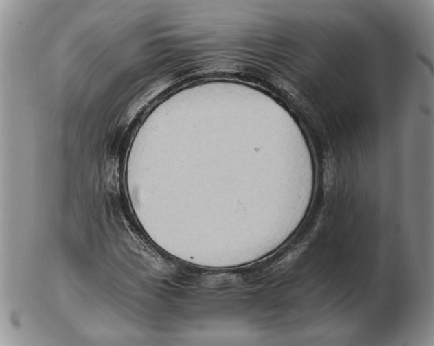 X0000102761113200809080935