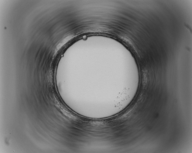 X0000102761114200809080935