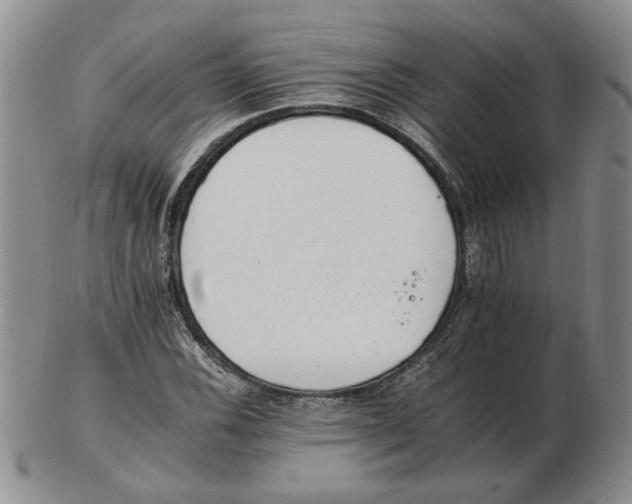 X0000102761116200809080935