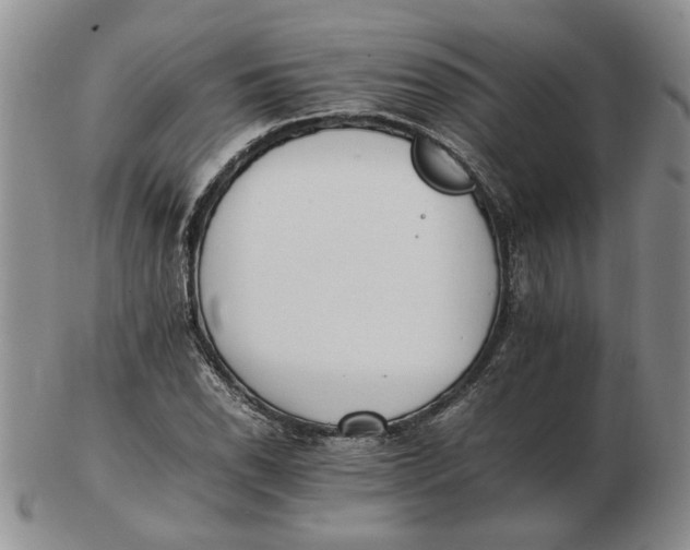 X0000102761118200809080935