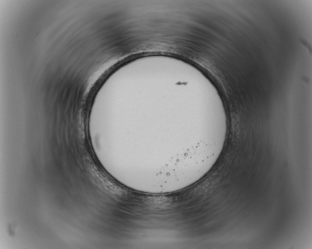 X0000102761120200809080935