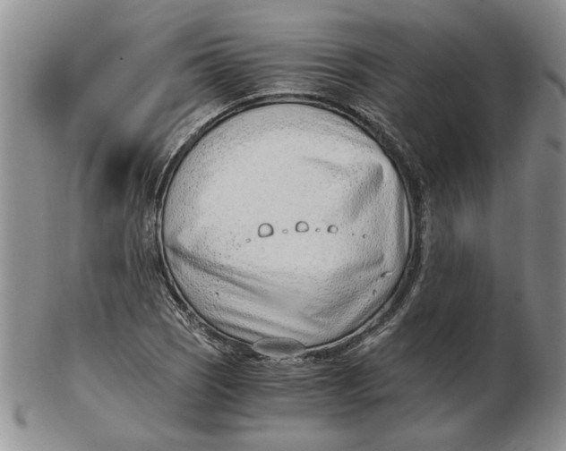 X0000102761121200809080935