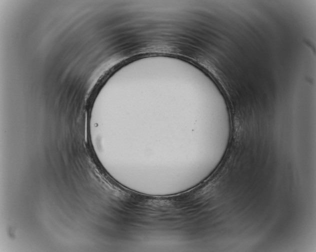 X0000102761123200809080935