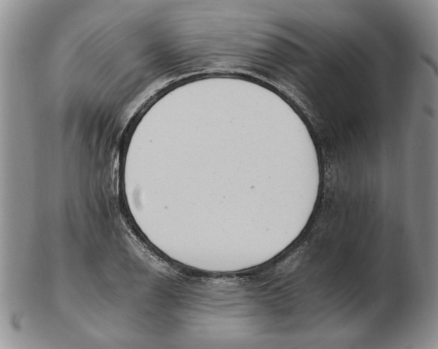 X0000102761126200809080935