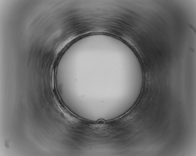 X0000102761127200809080935