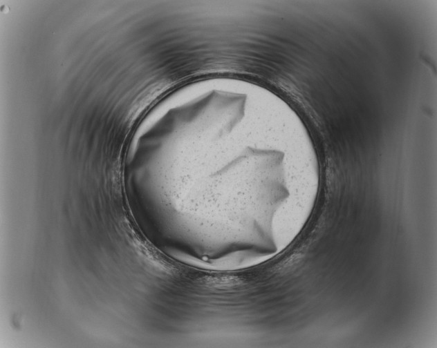 X0000102761129200809080935